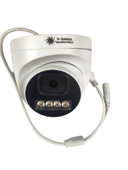 IP Cameras